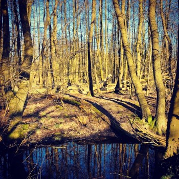 6EA27466-F844-4798-A96B-BCE34A5C9D48