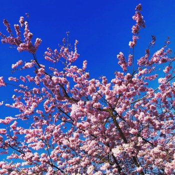 E9739261-A029-4139-BFCF-48FCA4EEB8CF